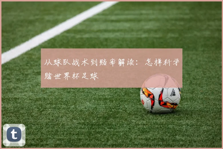 从球队战术到赔率解读：怎样科学赌世界杯足球