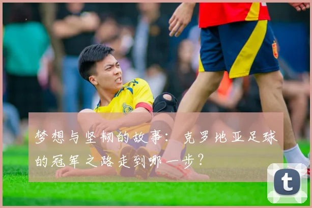 梦想与坚韧的故事：克罗地亚足球的冠军之路走到哪一步？