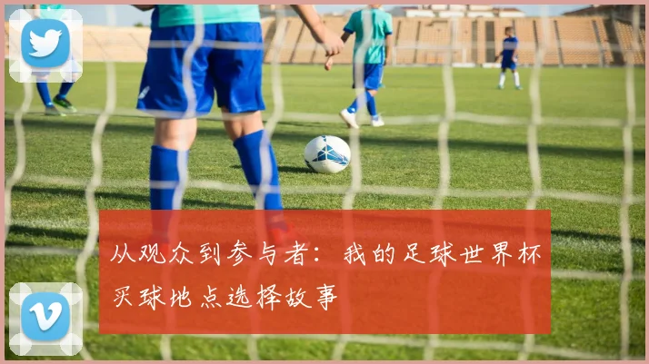 从观众到参与者：我的足球世界杯买球地点选择故事