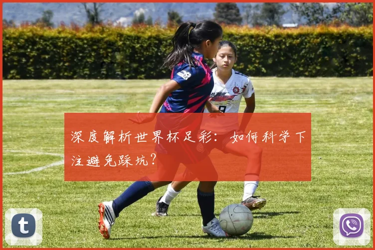 深度解析世界杯足彩：如何科学下注避免踩坑？