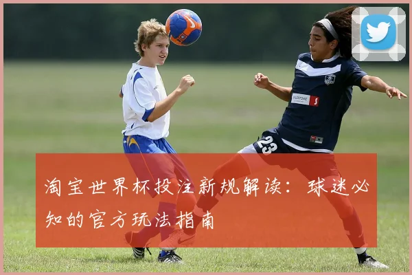 淘宝世界杯投注新规解读：球迷必知的官方玩法指南