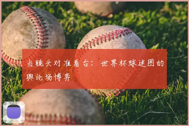 当镜头对准看台：世界杯球迷图的舆论场博弈