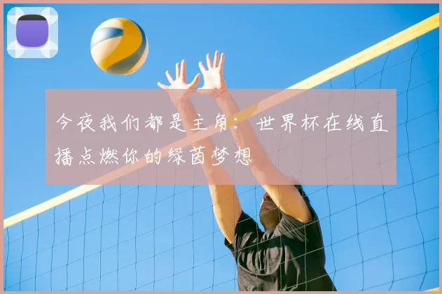 今夜我们都是主角：世界杯在线直播点燃你的绿茵梦想