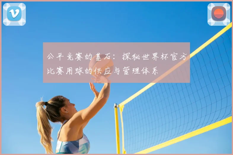 公平竞赛的基石：探秘世界杯官方比赛用球的供应与管理体系
