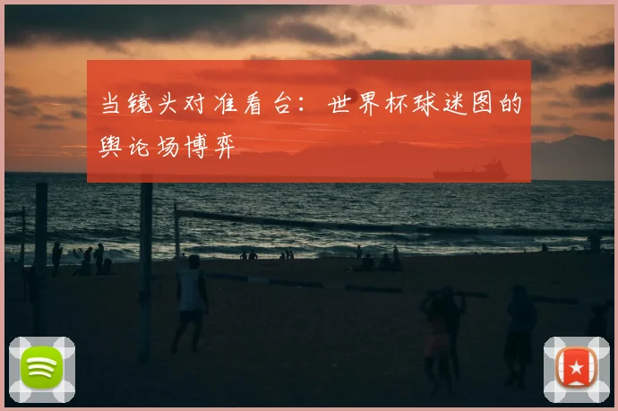当镜头对准看台：世界杯球迷图的舆论场博弈