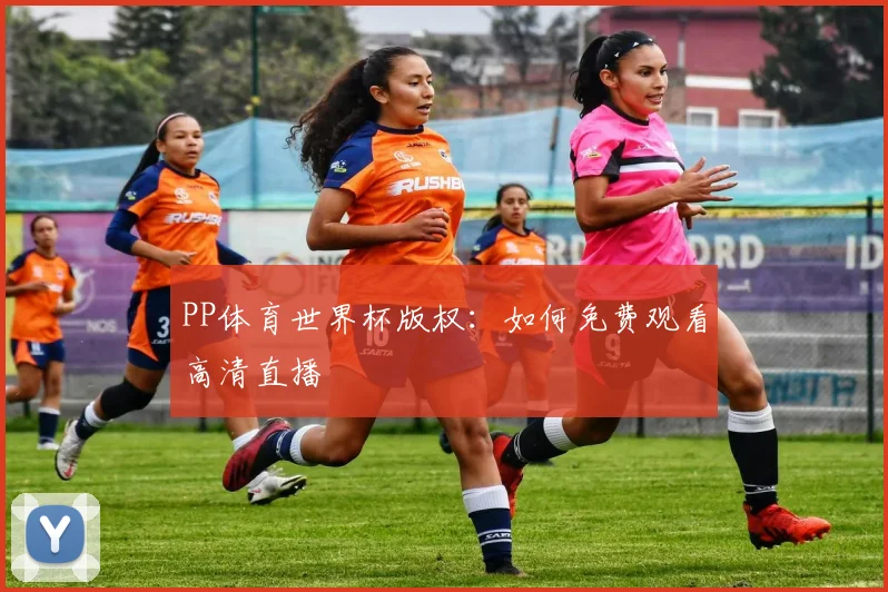 PP体育世界杯版权:如何免费观看高清直播