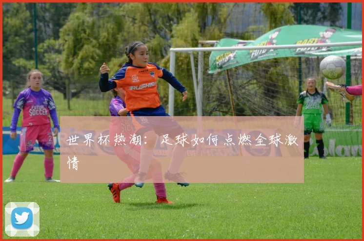 世界杯热潮：足球如何点燃全球激情