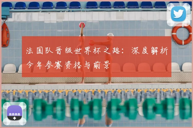 法国队晋级世界杯之路：深度解析今年参赛资格与前景